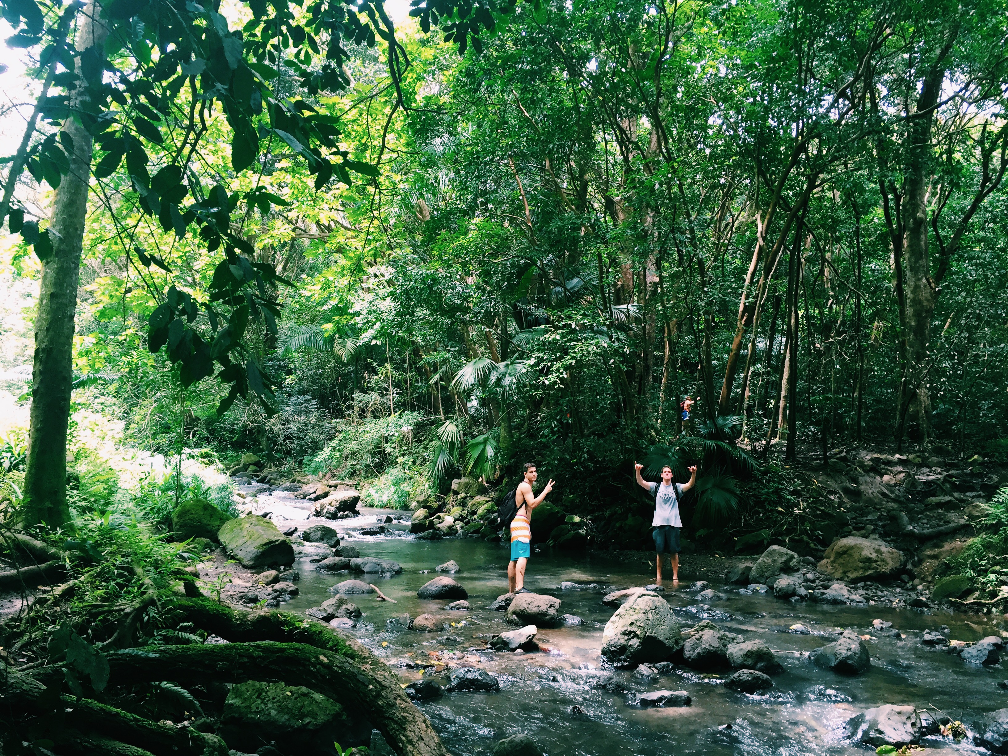 Processed with VSCO with c1 preset